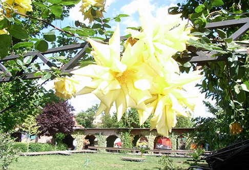 circolo degli artisti